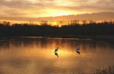 Morning sunrise by a lake